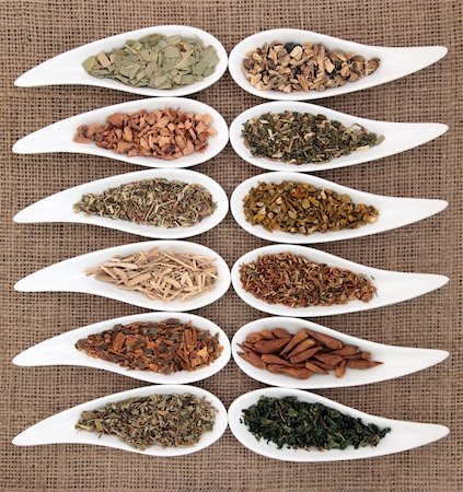 eucalyptus - Medicinal herb selection also used in magical potions over hessian background. Photographie de stock - Aubaine LD & Abonnement, Code: 400-06523157