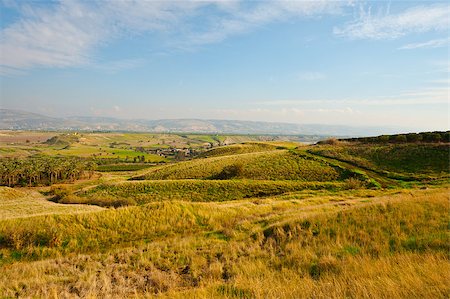 simsearch:400-06415579,k - Withered Grass on the Winter Hills of Israel Stock Photo - Budget Royalty-Free & Subscription, Code: 400-06530937