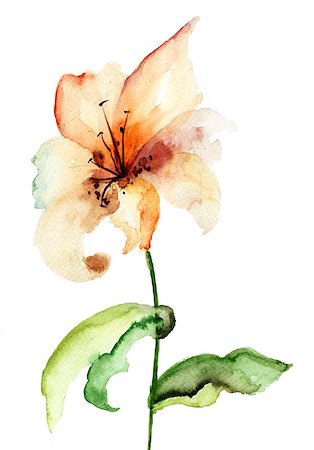 simsearch:400-06202782,k - Yellow Lily flower, watercolor illustration Stock Photo - Budget Royalty-Free & Subscription, Code: 400-06531153