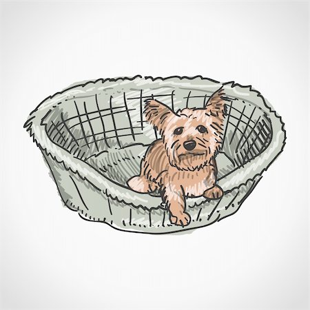 simsearch:400-04312761,k - Small pet dog in grey basket isolated on white background Stock Photo - Budget Royalty-Free & Subscription, Code: 400-06554068