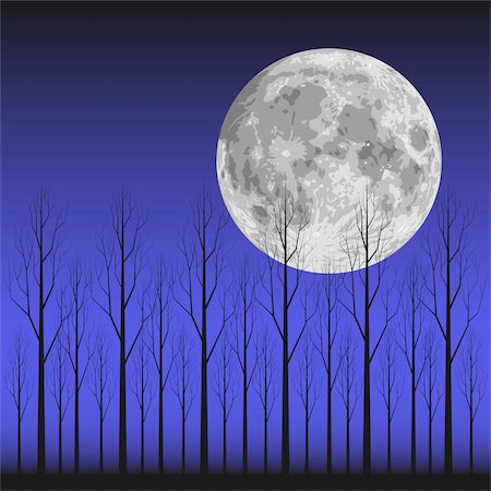sky colors full moon - Layered vector illustration scene of Moon and Tree. Foto de stock - Super Valor sin royalties y Suscripción, Código: 400-06554254
