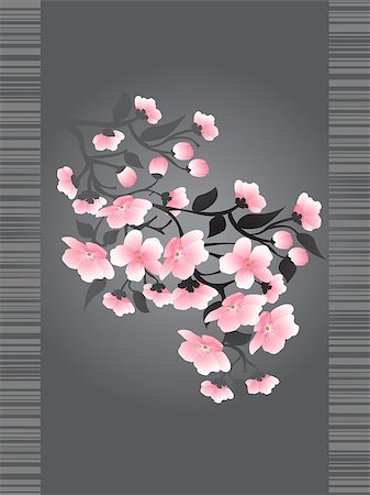 Sakura blossoms on a dark background Foto de stock - Super Valor sin royalties y Suscripción, Código: 400-06554493