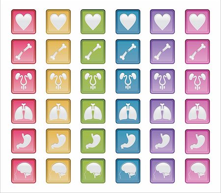 Vector Shapes, concept of human systems badges or medical areas, fully editable EPS Stock Photo - Budget Royalty-Free & Subscription, Code: 400-06554523