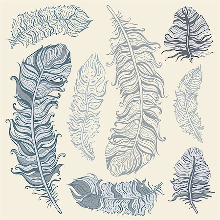 Vintage Feather vector set. Hand drawn illustration. Stock Photo - Budget Royalty-Free & Subscription, Code: 400-06554938