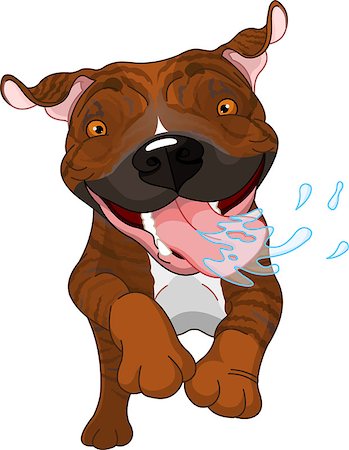 Excited brindle Pit Bull Dog Running And Drooling Foto de stock - Super Valor sin royalties y Suscripción, Código: 400-06555114