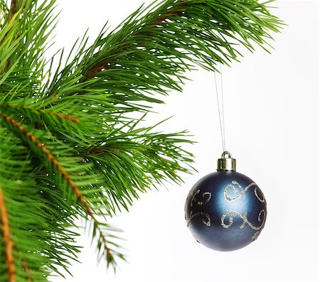 round ornament hanging of a tree - blue decoration ball on fir branch, isolated on white Stock Photo - Budget Royalty-Free & Subscription, Code: 400-06555814