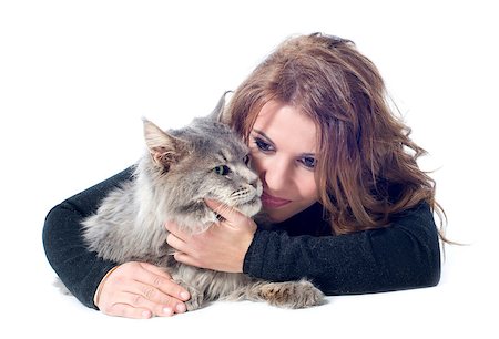 simsearch:400-06857345,k - portrait of a purebred  maine coon cat and woman on a white background Photographie de stock - Aubaine LD & Abonnement, Code: 400-06556710