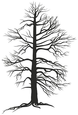 Vector black tree with roots on white background Stock Photo - Budget Royalty-Free & Subscription, Code: 400-06557113