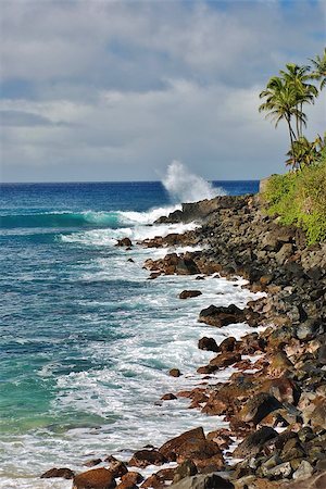 simsearch:400-06069735,k - A perfect sunny day on the beach at Waimea Bay on Oahu, Hawaii. Stock Photo - Budget Royalty-Free & Subscription, Code: 400-06557676