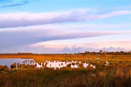 simsearch:400-07173519,k - beautiful landscape in Drenthe at sunrise, Netherlands Foto de stock - Super Valor sin royalties y Suscripción, Código: 400-06558356