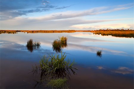 simsearch:400-06875459,k - beautiful reflections in lake close to Leekstermeer in Drenthe just after sunrise Stock Photo - Budget Royalty-Free & Subscription, Code: 400-06558350