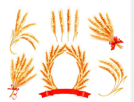 Ears of wheat. Vector illustration. Stock Photo - Budget Royalty-Free & Subscription, Code: 400-06559011