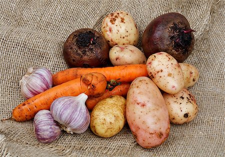 simsearch:400-06485810,k - Heap of Raw Carrot, Potato, Beet, Onion and Garlic closeup on Sacking background Fotografie stock - Microstock e Abbonamento, Codice: 400-06559317