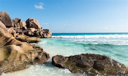 simsearch:400-08693524,k - coco beach in seychelles Fotografie stock - Microstock e Abbonamento, Codice: 400-06559790