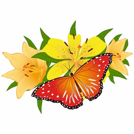 drawing of a butterfly - On a flower the butterfly sits. An illustration on a white background. Stock Photo - Budget Royalty-Free & Subscription, Code: 400-06553824