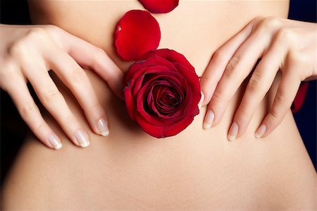 pregnancy nude - female's belly with red rosebud and petals Foto de stock - Super Valor sin royalties y Suscripción, Código: 400-06564265