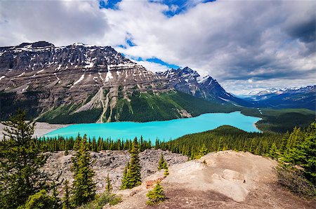 Peyto Lake, Banff, Alberta, Canada Fotografie stock - Microstock e Abbonamento, Codice: 400-06564356