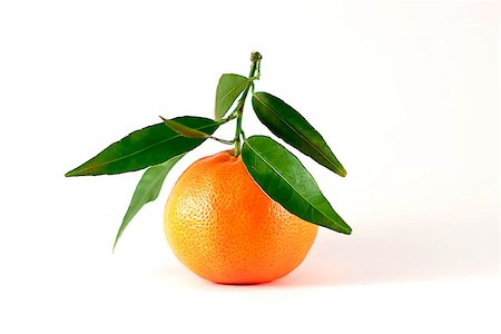 simsearch:400-05046087,k - Ripe sweet tangerine with leaves, isolated on white Stockbilder - Microstock & Abonnement, Bildnummer: 400-06564647