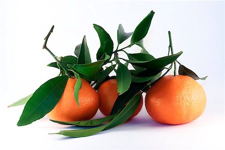 simsearch:400-05046087,k - Ripe sweet tangerines with leaves, isolated on white Stockbilder - Microstock & Abonnement, Bildnummer: 400-06564648