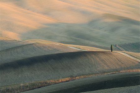 A typical landscape in the south of Tuscany) Foto de stock - Super Valor sin royalties y Suscripción, Código: 400-06564770