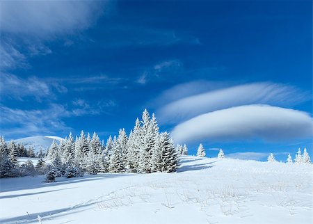 simsearch:400-07101023,k - Morning winter mountain landscape with fir trees on slope. Photographie de stock - Aubaine LD & Abonnement, Code: 400-06564968