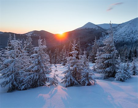 simsearch:400-07101023,k - The first rays of the sun and winter mountain landscape with snowy fir trees on slope Photographie de stock - Aubaine LD & Abonnement, Code: 400-06564971
