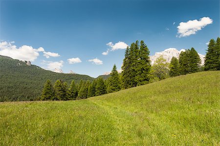 Sunny green alpine meadow with blue sky Stock Photo - Budget Royalty-Free & Subscription, Code: 400-06565788