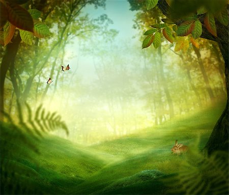 Spring design - Forest meadow. Nature Easter background with rabbit and grass in the deep forest Stockbilder - Microstock & Abonnement, Bildnummer: 400-06566043