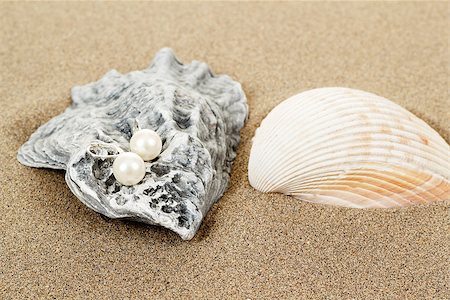 simsearch:400-07758089,k - two pearl earrings and shells on sand background Photographie de stock - Aubaine LD & Abonnement, Code: 400-06566590