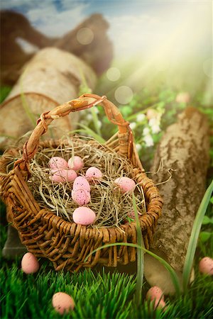 Colorful Easter eggs. Holiday nature concept with easter hunt. Eggs in the sunny meadow Stockbilder - Microstock & Abonnement, Bildnummer: 400-06567944