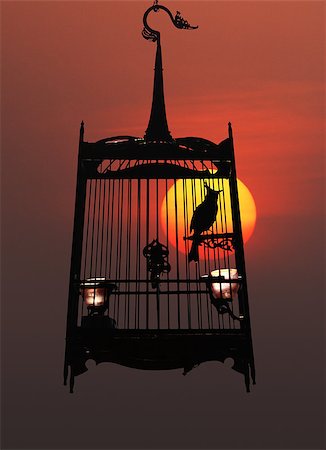 enjaulado - Singing bird in a cage at night, against the setting sun Foto de stock - Super Valor sin royalties y Suscripción, Código: 400-06568257