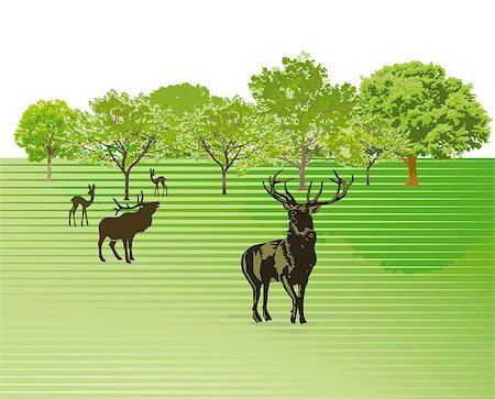 simsearch:400-07115296,k - Deer on the green meadow Photographie de stock - Aubaine LD & Abonnement, Code: 400-06569900