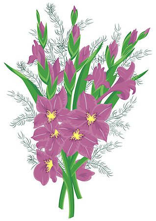 Illustration of bouquet of lilac gladioluses Foto de stock - Royalty-Free Super Valor e Assinatura, Número: 400-06560950