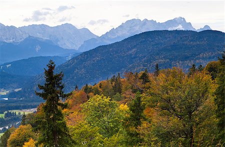 mountains covered with colorful forest in autumn, Bavaria Stock Photo - Budget Royalty-Free & Subscription, Code: 400-06561545