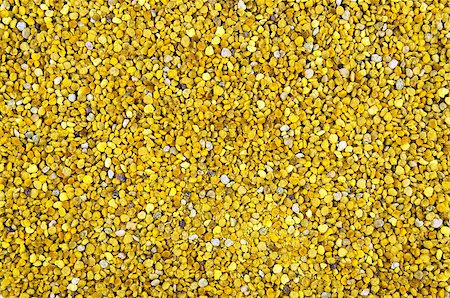 background, bee gathered pollen granules Stock Photo - Budget Royalty-Free & Subscription, Code: 400-06561945