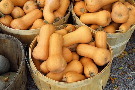 Baskets with pile of orange squash vegetables. Fotografie stock - Microstock e Abbonamento, Codice: 400-06562452