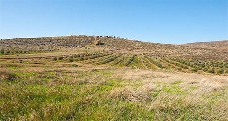 simsearch:400-06415579,k - New Jewish Settlement in the Judean Mountain Stock Photo - Budget Royalty-Free & Subscription, Code: 400-06570808