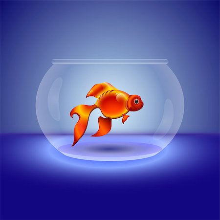 ekaterina88 (artist) - Vector cartoon illustration of a goldfish in an aquarium on a purple background Fotografie stock - Microstock e Abbonamento, Codice: 400-06629281