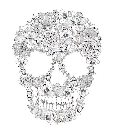 Skull from flowers. Stockbilder - Microstock & Abonnement, Bildnummer: 400-06629571