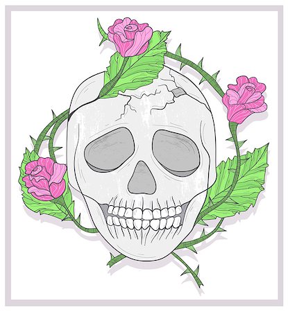 Skull and roses vector illustration Stock Photo - Budget Royalty-Free & Subscription, Code: 400-06629589