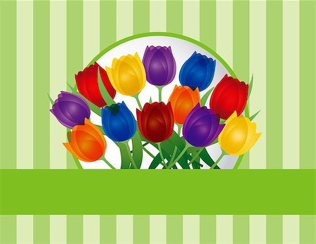 simsearch:400-06630484,k - Colorful Tulip Flowers for Easter or Mothers Day on Green Stripes Pattern Background Illustration Stock Photo - Budget Royalty-Free & Subscription, Code: 400-06629854