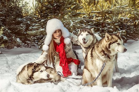 small white dog with fur - A portrait of beautiful woman with three dogs in the winter forest Stock Photo - Budget Royalty-Free & Subscription, Code: 400-06639263