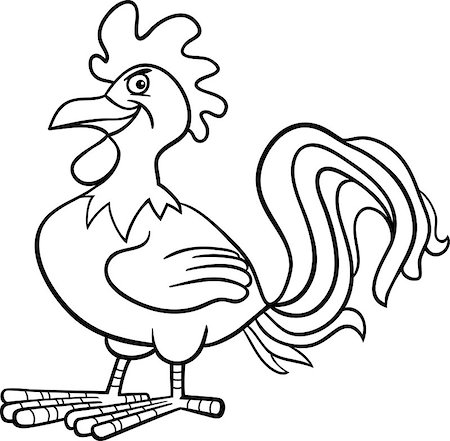 Black and White Cartoon Illustration of Funny Rooster Farm Bird Animal for Coloring Book Stock Photo - Budget Royalty-Free & Subscription, Code: 400-06630221