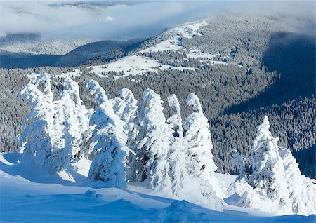 Winter mountain landscape with snowy trees on slope in front Stock Photo - Budget Royalty-Free & Subscription, Code: 400-06633507