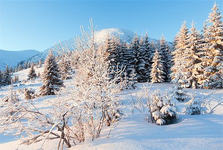 simsearch:400-06861143,k - Winter mountain landscape with snow covered trees in first morning  sunbeams Foto de stock - Super Valor sin royalties y Suscripción, Código: 400-06633508