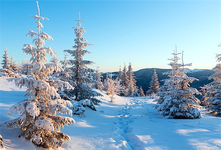 footprint winter landscape mountain - Winter mountain landscape with snowy trees in first morning  sunbeams. Stock Photo - Budget Royalty-Free & Subscription, Code: 400-06633509