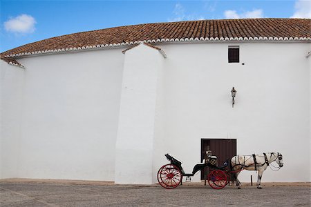 simsearch:400-06761996,k - Horse near bullring, Ronda (Spain) Foto de stock - Super Valor sin royalties y Suscripción, Código: 400-06633568