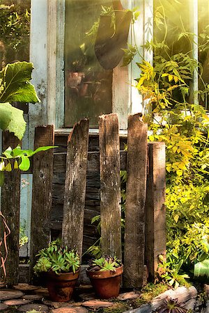 spade shovel vintage - Overgrown garden in morning sunlight Photographie de stock - Aubaine LD & Abonnement, Code: 400-06633875
