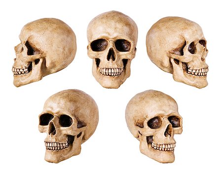 simsearch:400-05687204,k - synthetical skull many angle view Photographie de stock - Aubaine LD & Abonnement, Code: 400-06633917
