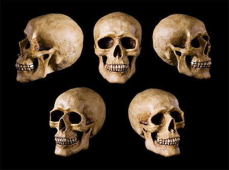 simsearch:400-05687204,k - synthetical skull many angle view Photographie de stock - Aubaine LD & Abonnement, Code: 400-06633918